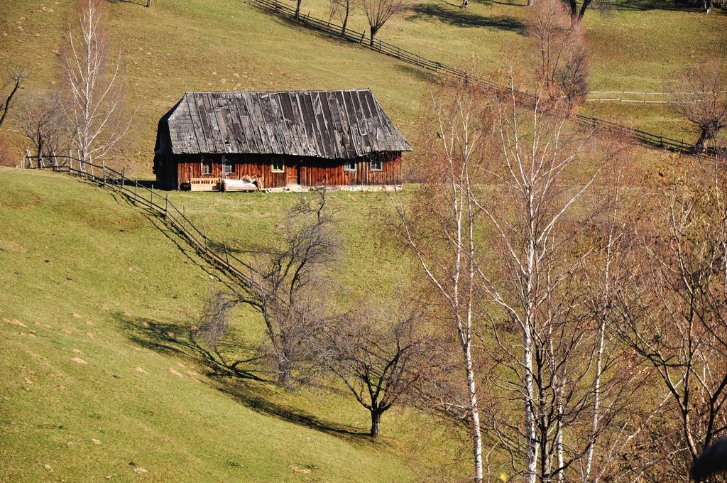 Samedru Hotel Măgura Eksteriør billede